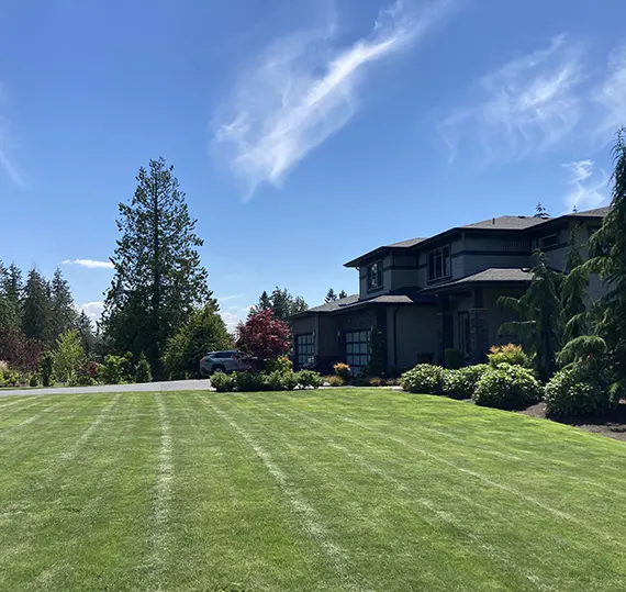Welcome Jhoans Landscaping